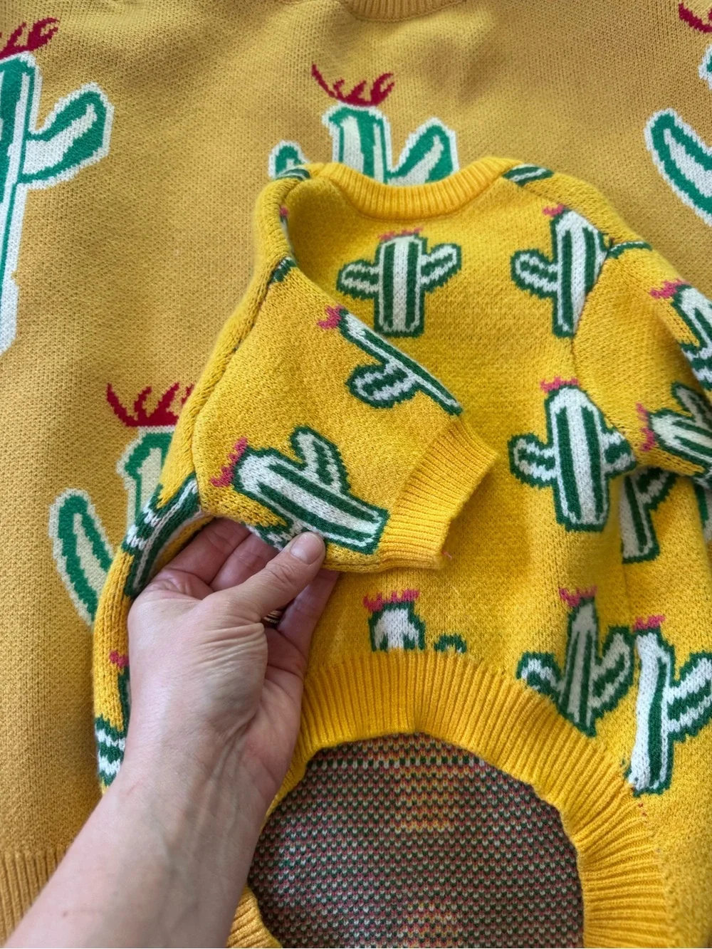 Matching Pet and Person cactus sweaters